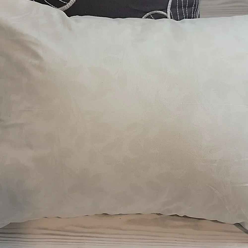At Home cozy throw pillows set of 2